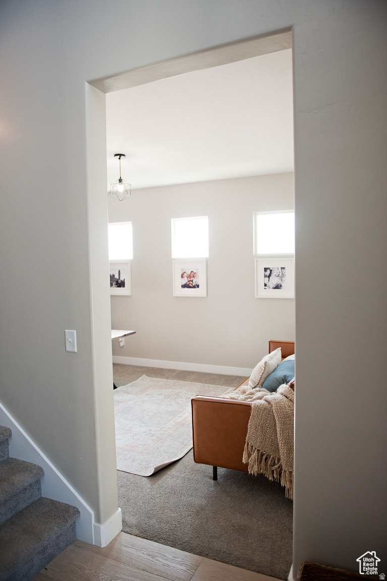 THE MEADOWS AT THE HOMESTEADS - Residential