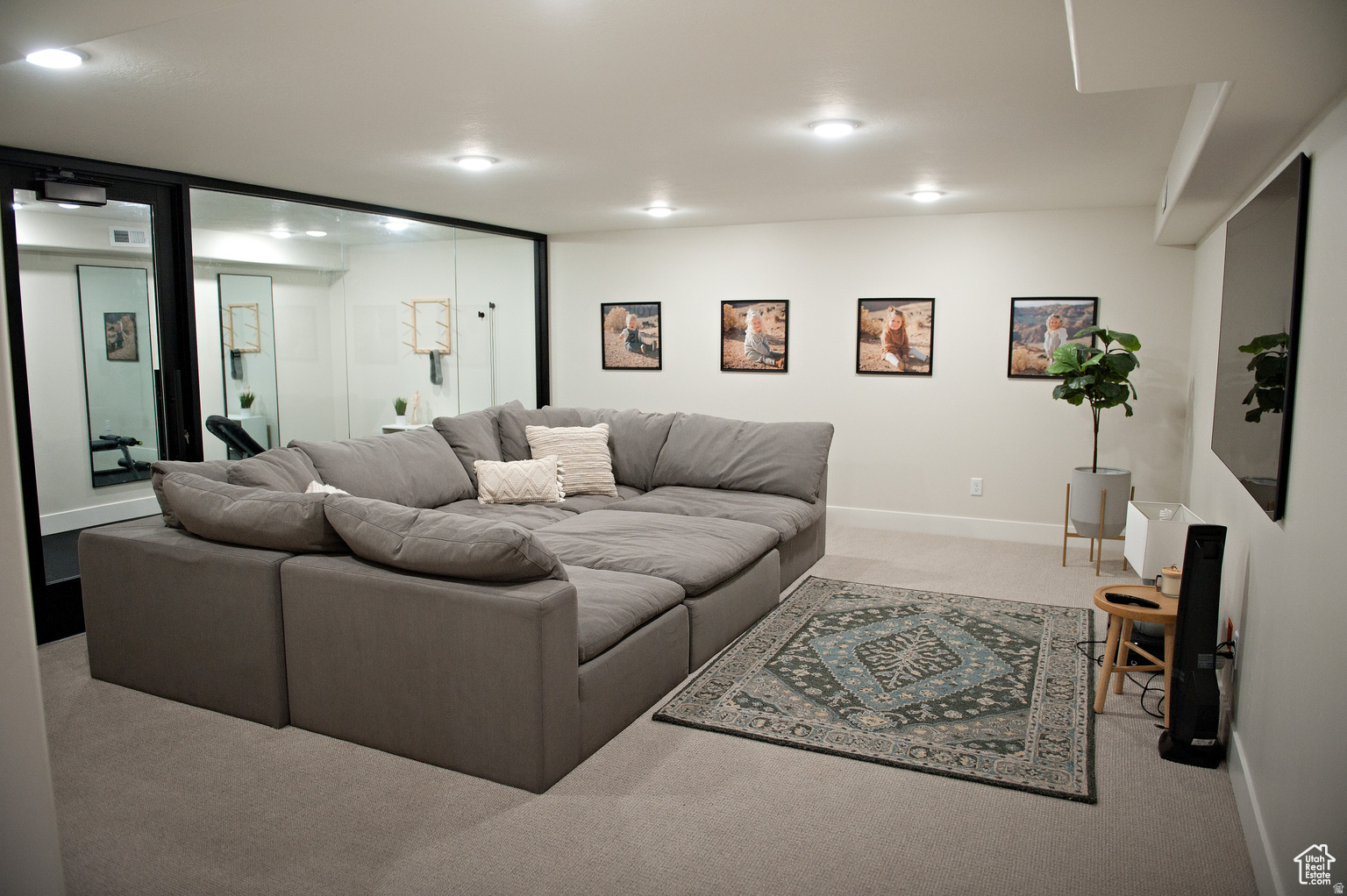 THE MEADOWS AT THE HOMESTEADS - Residential