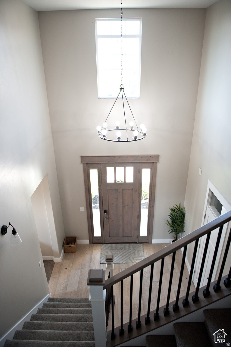 THE MEADOWS AT THE HOMESTEADS - Residential