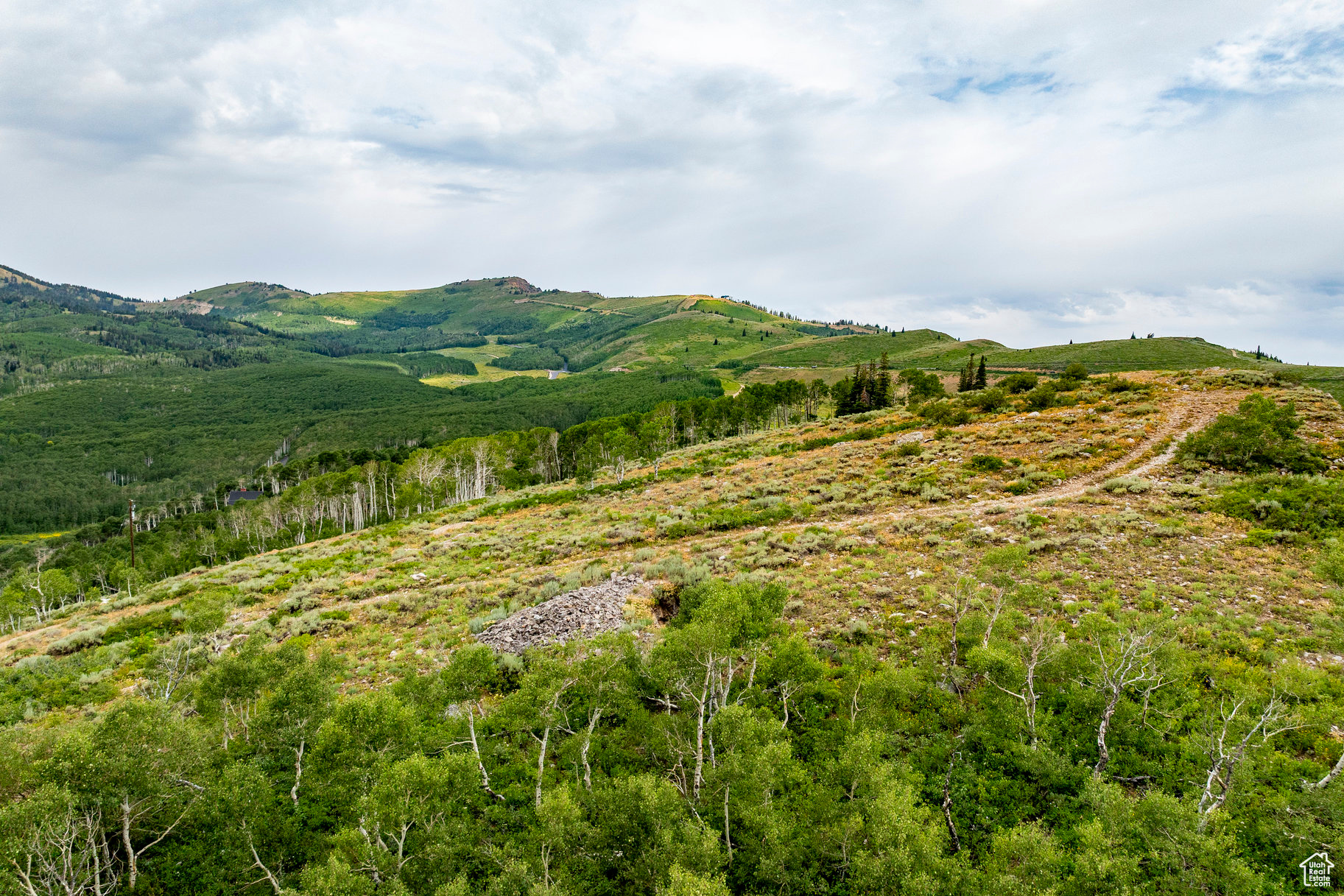 BRIGHTON ESTATES - Land