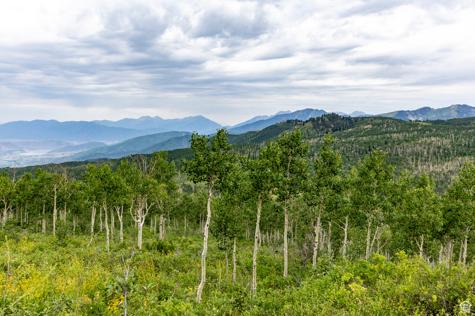 BRIGHTON ESTATES - Land