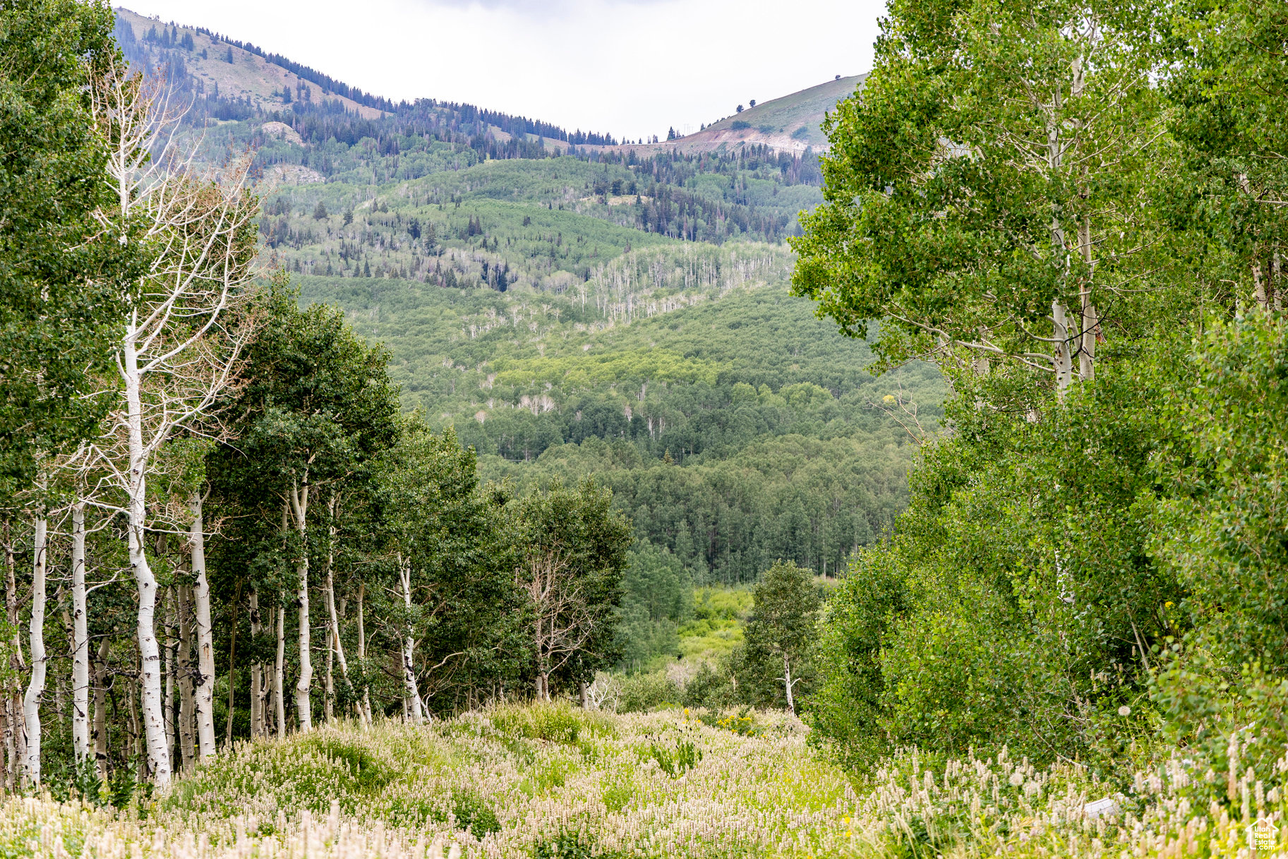 BRIGHTON ESTATES - Land