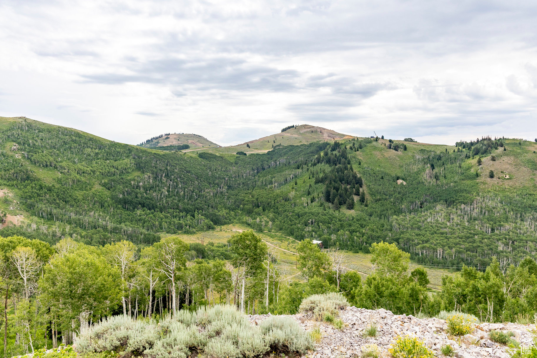 BRIGHTON ESTATES - Land