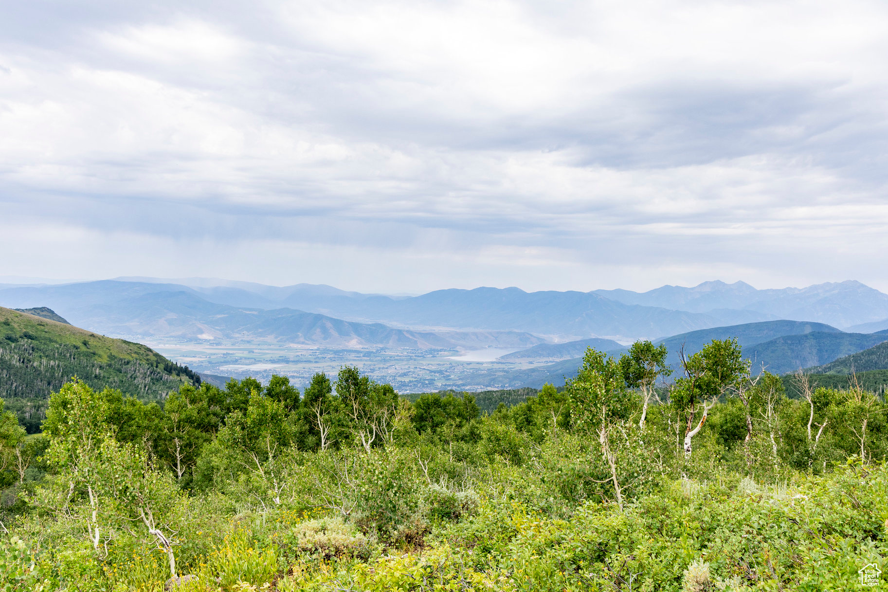 BRIGHTON ESTATES - Land