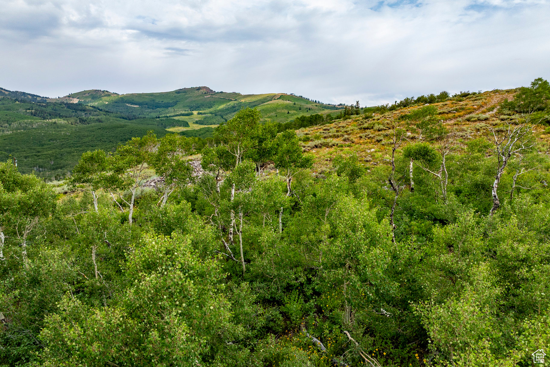 BRIGHTON ESTATES - Land