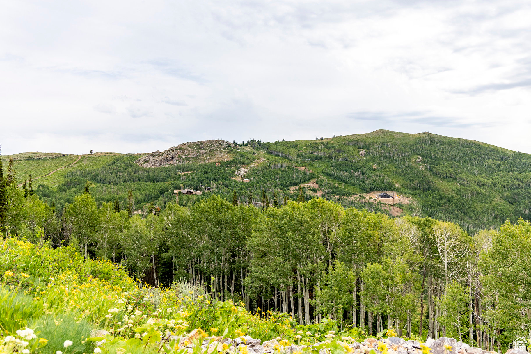 BRIGHTON ESTATES - Land