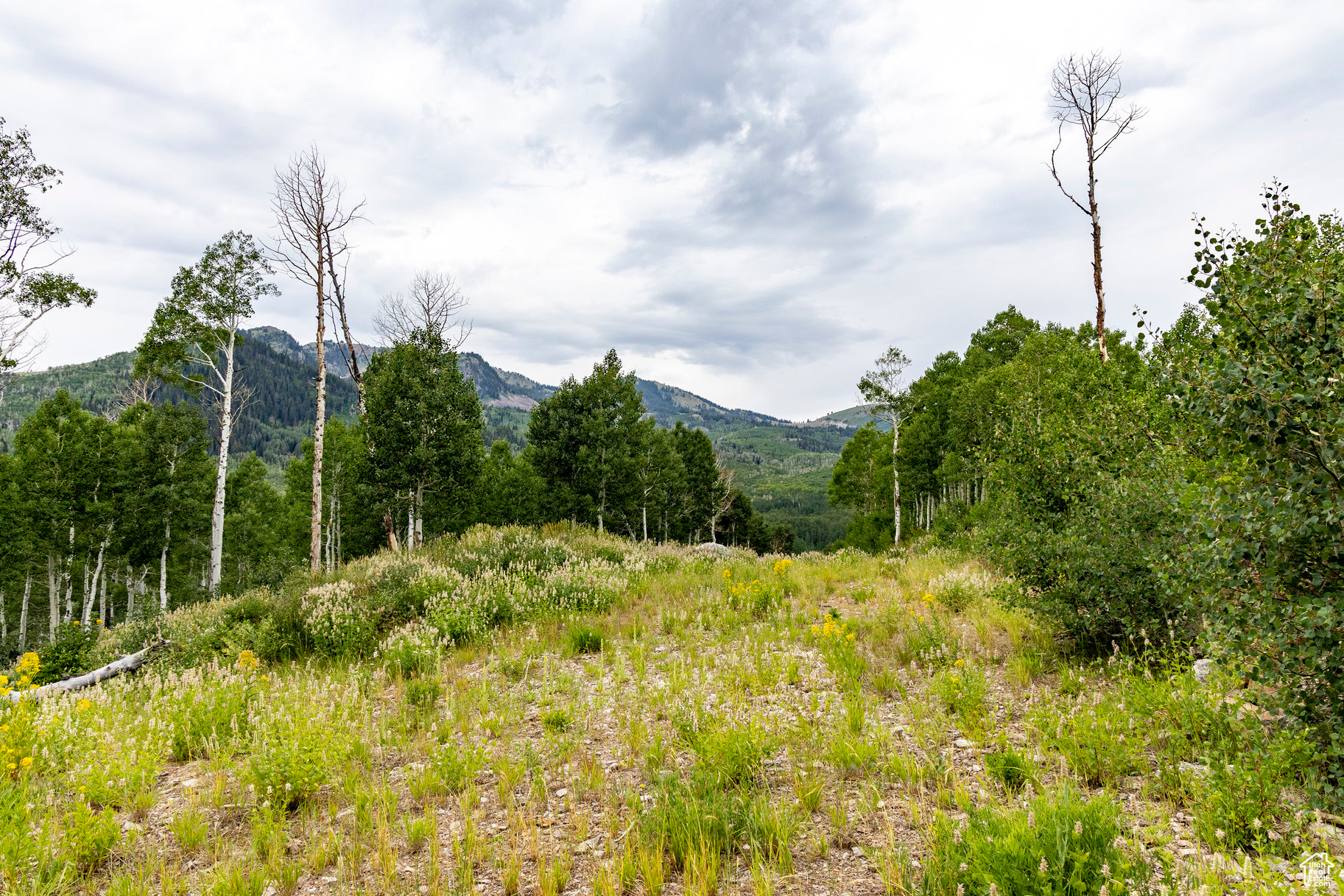 BRIGHTON ESTATES - Land