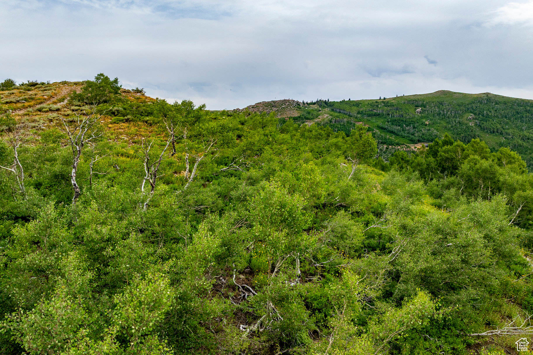 BRIGHTON ESTATES - Land