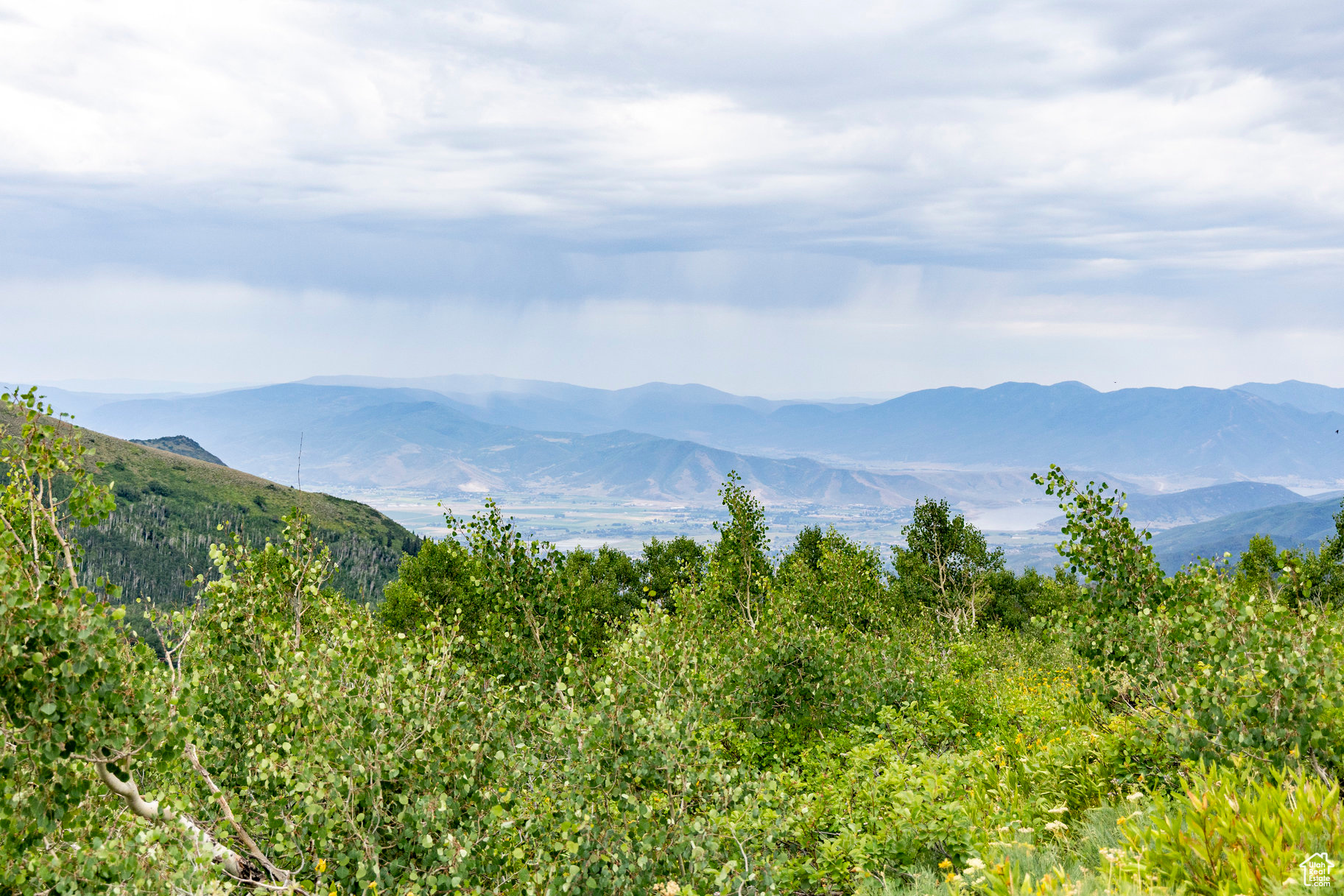 BRIGHTON ESTATES - Land