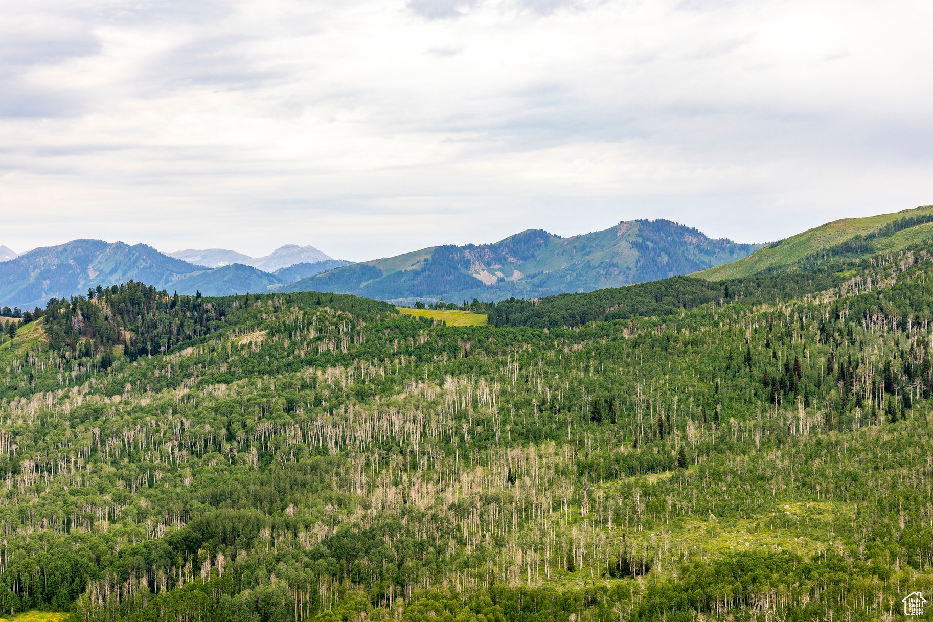 BRIGHTON ESTATES - Land