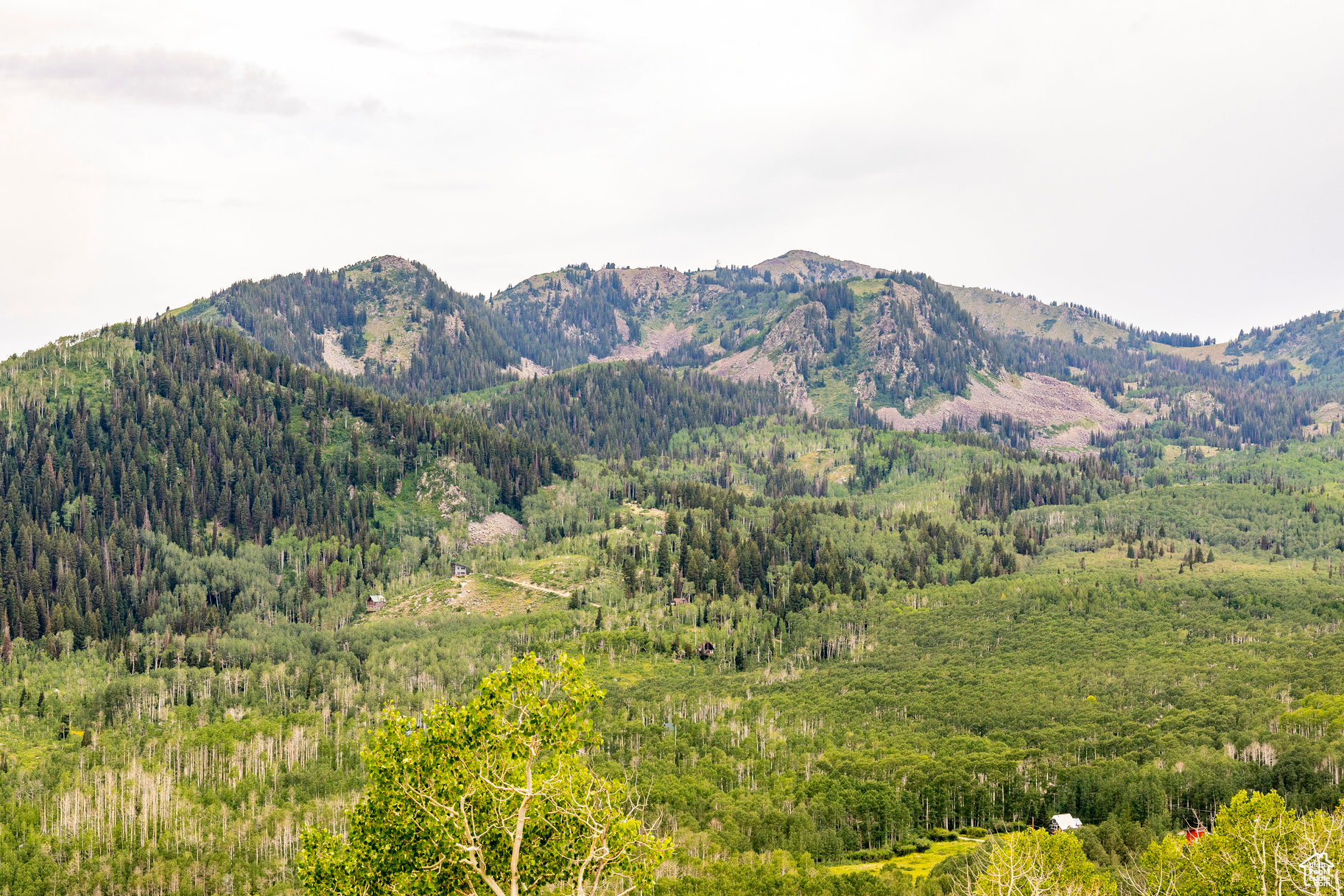 BRIGHTON ESTATES - Land