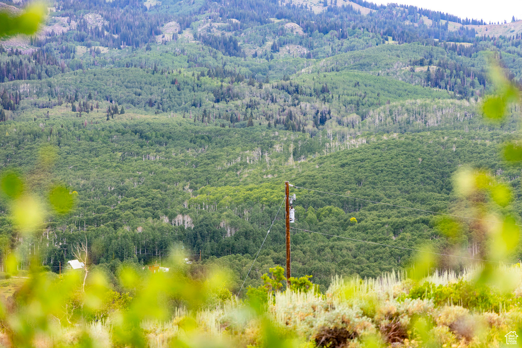 BRIGHTON ESTATES - Land