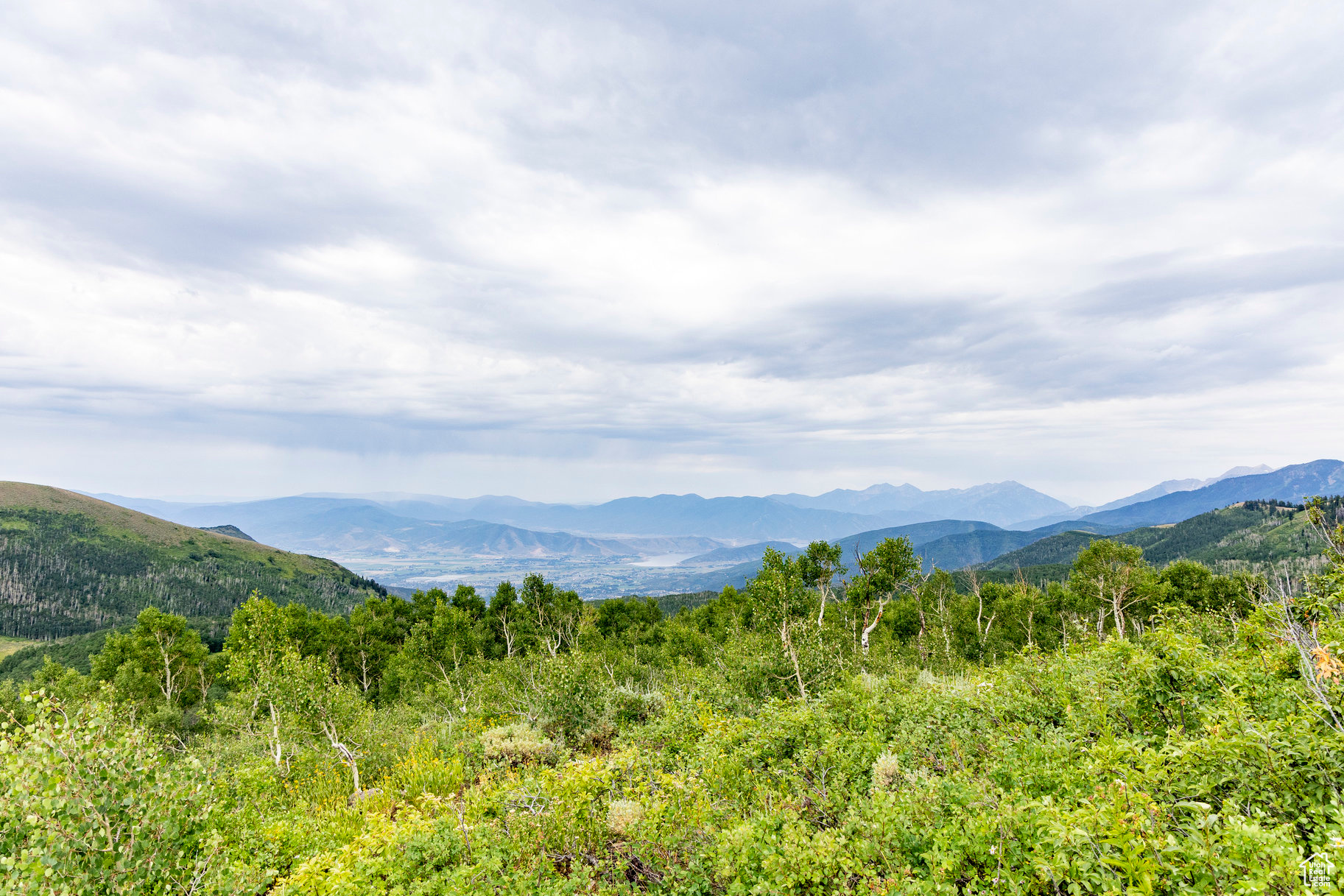 BRIGHTON ESTATES - Land