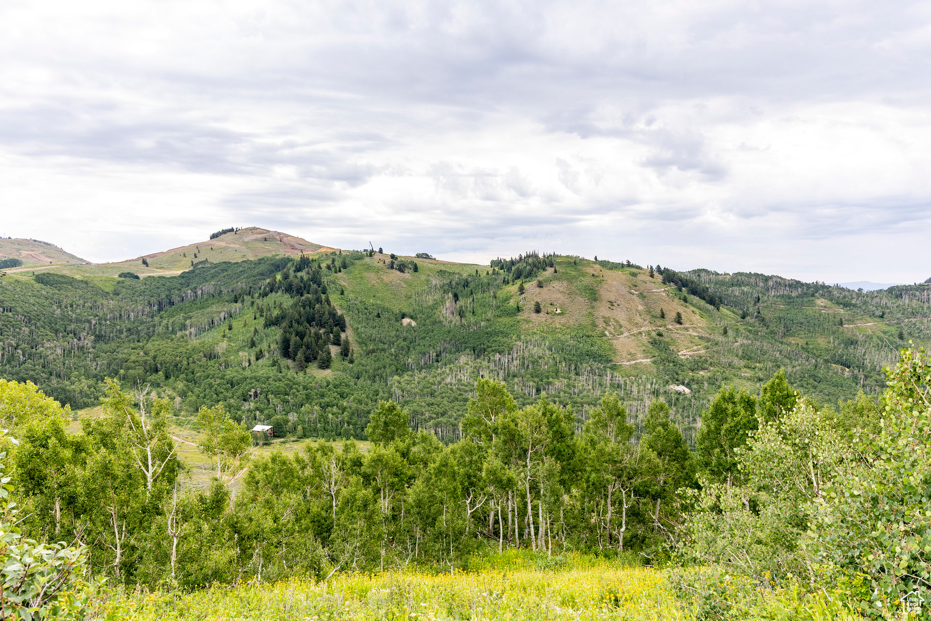 BRIGHTON ESTATES - Land