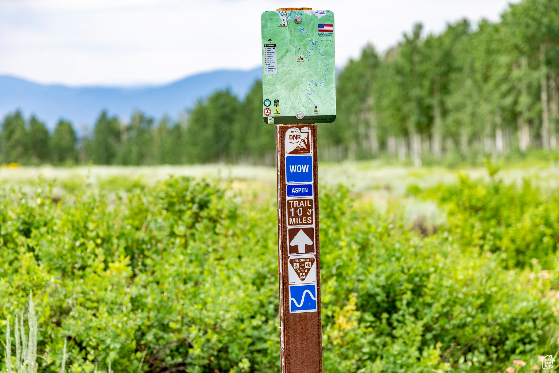 BRIGHTON ESTATES - Land