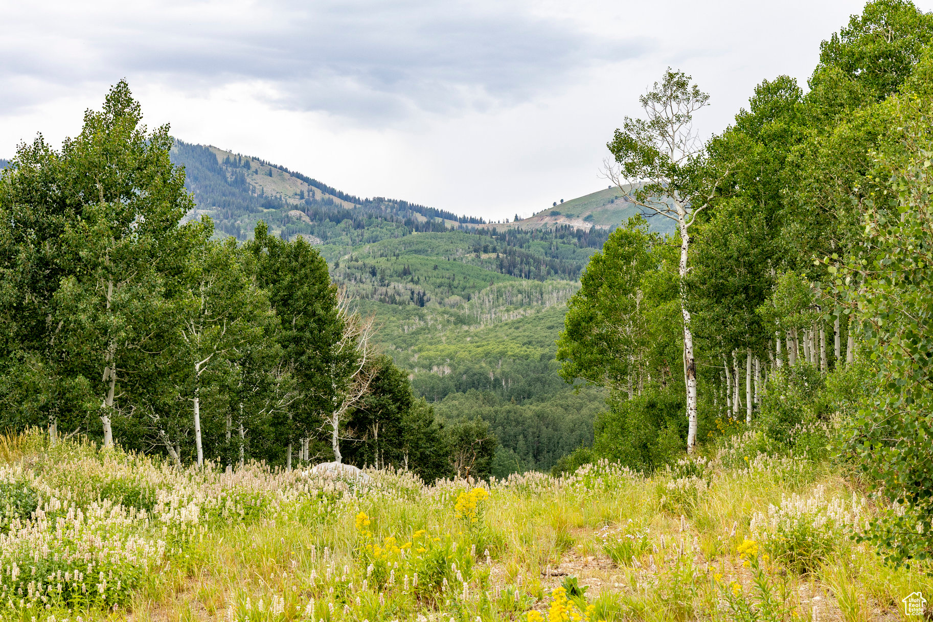 BRIGHTON ESTATES - Land