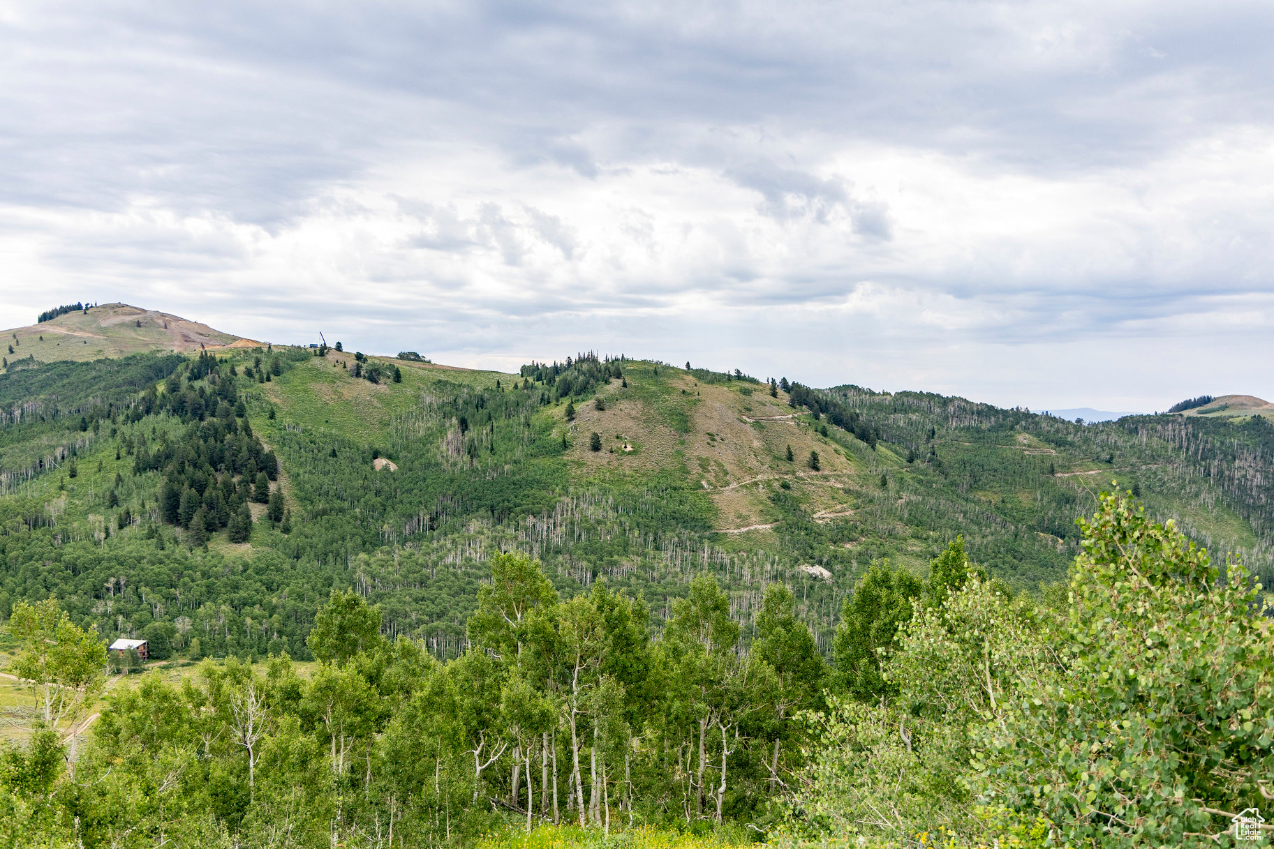 BRIGHTON ESTATES - Land