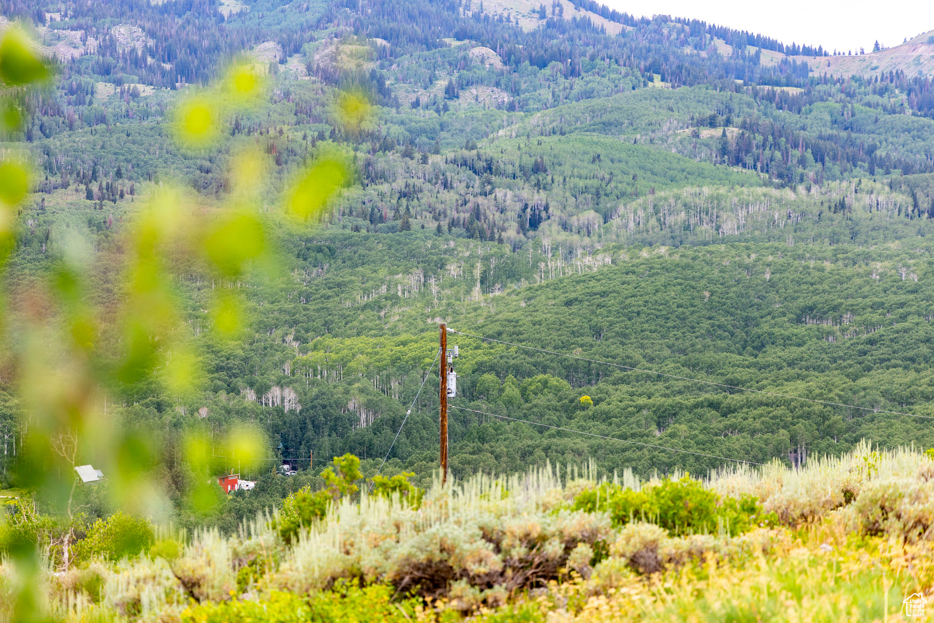 BRIGHTON ESTATES - Land