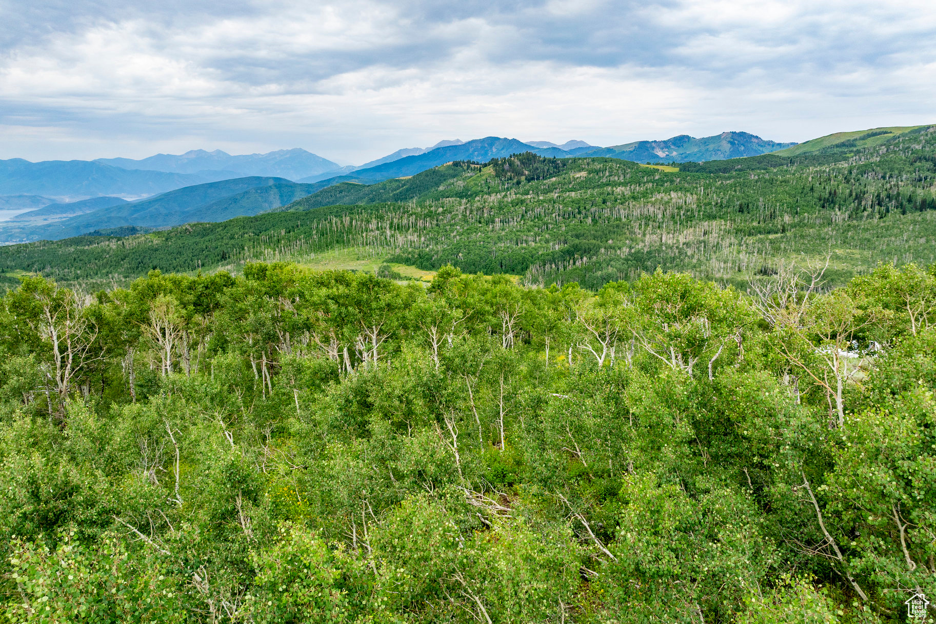 BRIGHTON ESTATES - Land