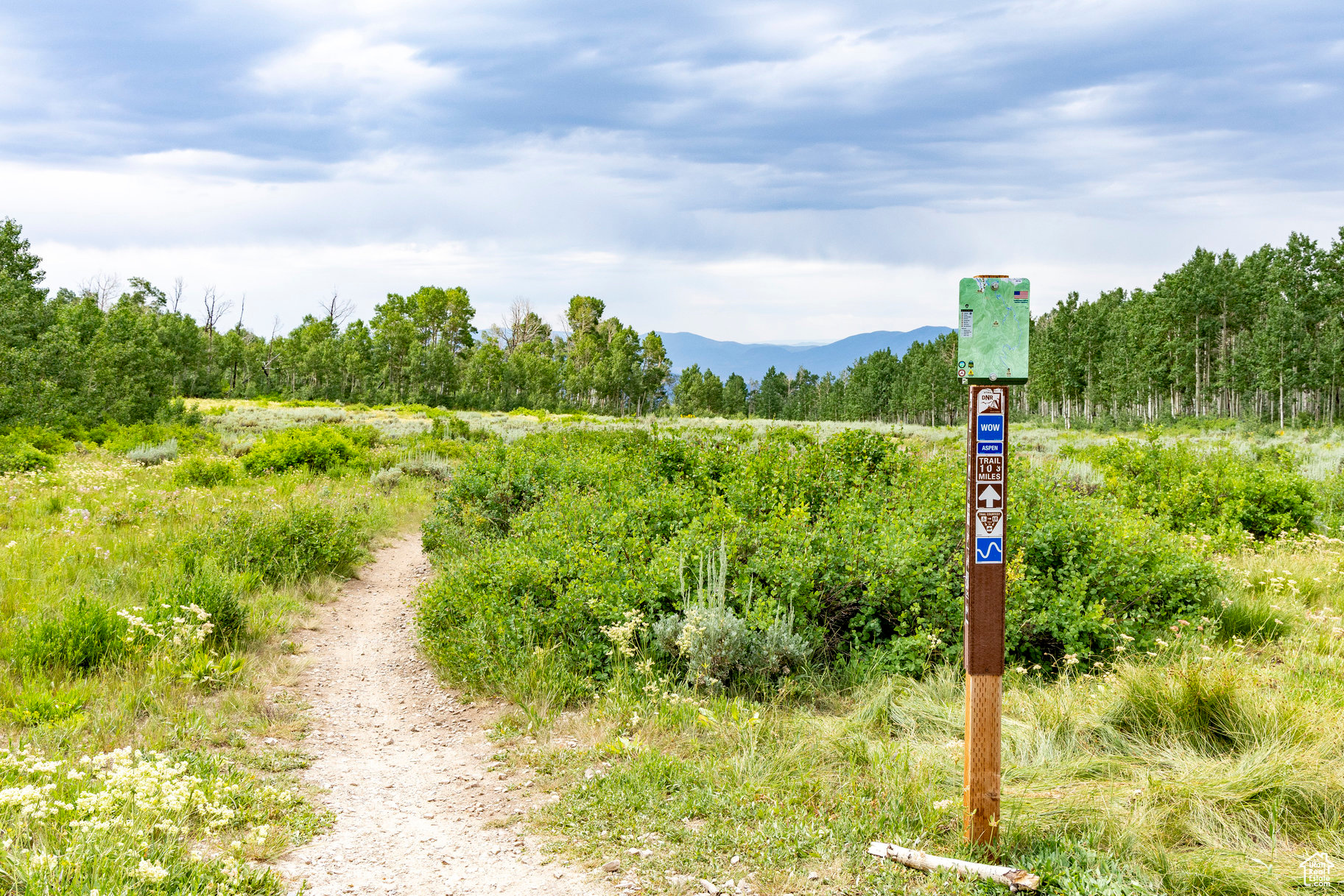 BRIGHTON ESTATES - Land