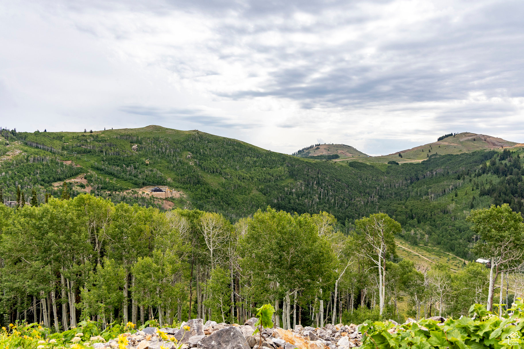 BRIGHTON ESTATES - Land