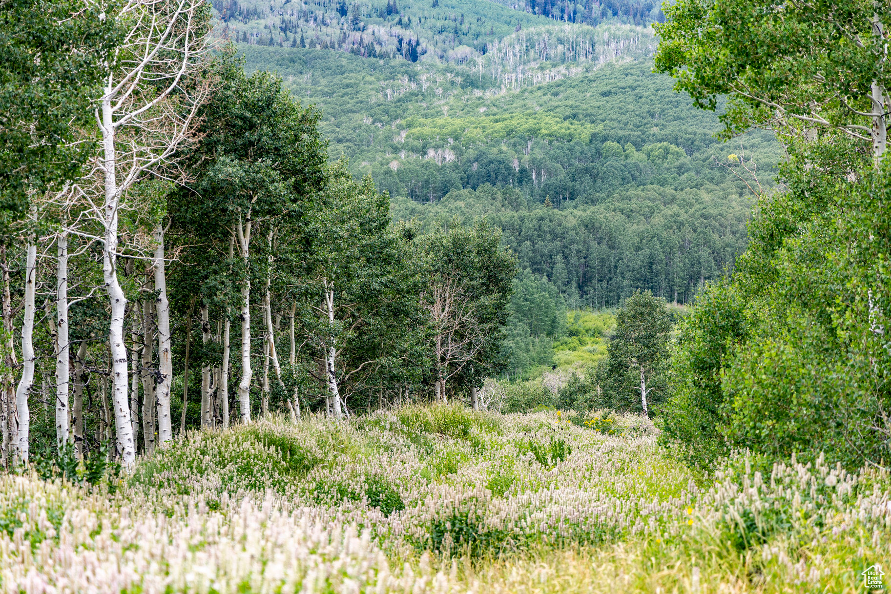 BRIGHTON ESTATES - Land