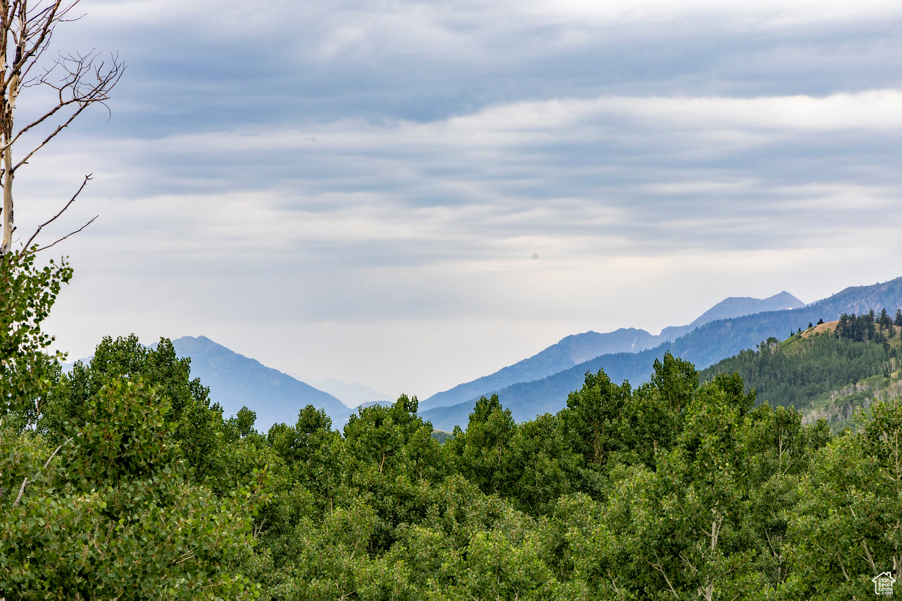 BRIGHTON ESTATES - Land