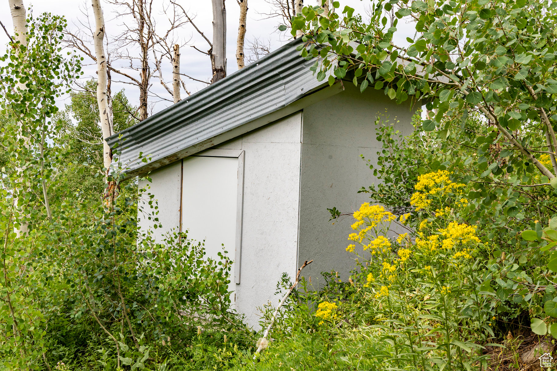 BRIGHTON ESTATES - Land