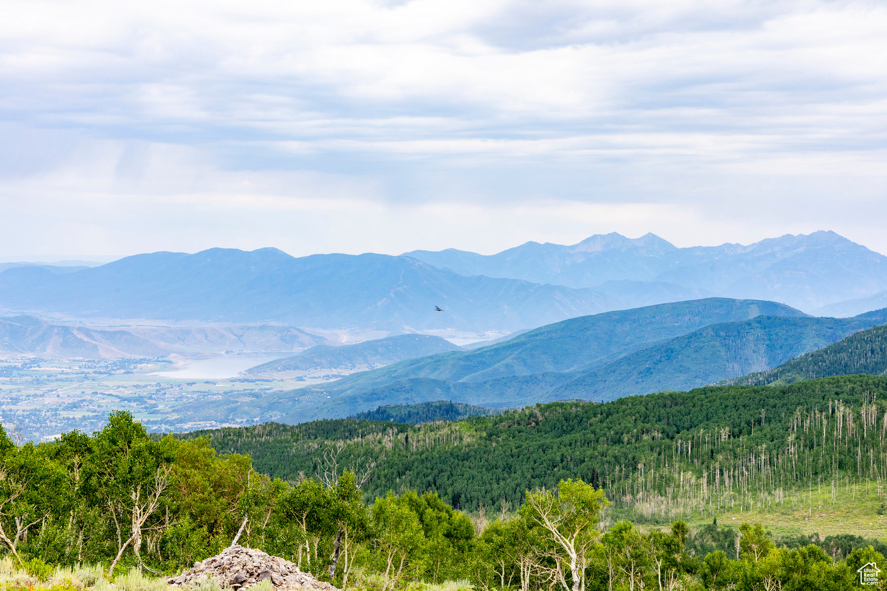 BRIGHTON ESTATES - Land