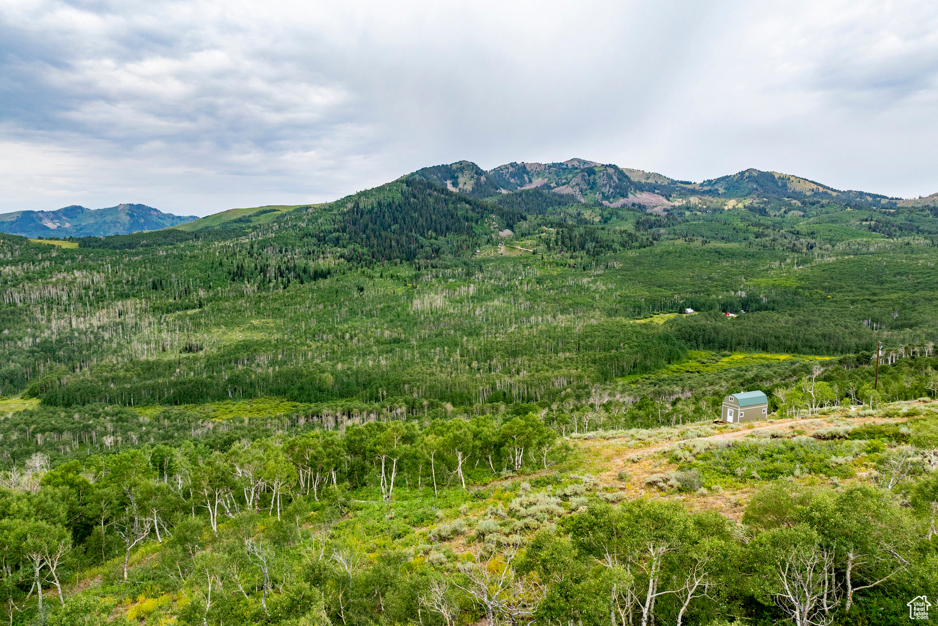 BRIGHTON ESTATES - Land