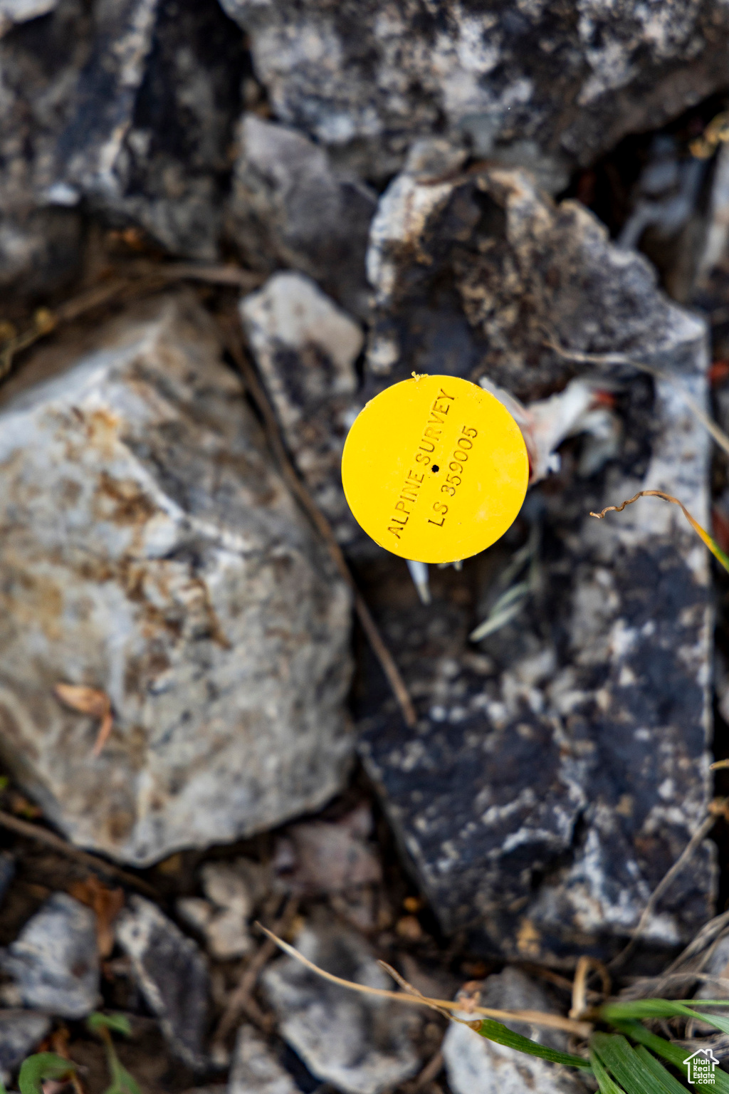 BRIGHTON ESTATES - Land