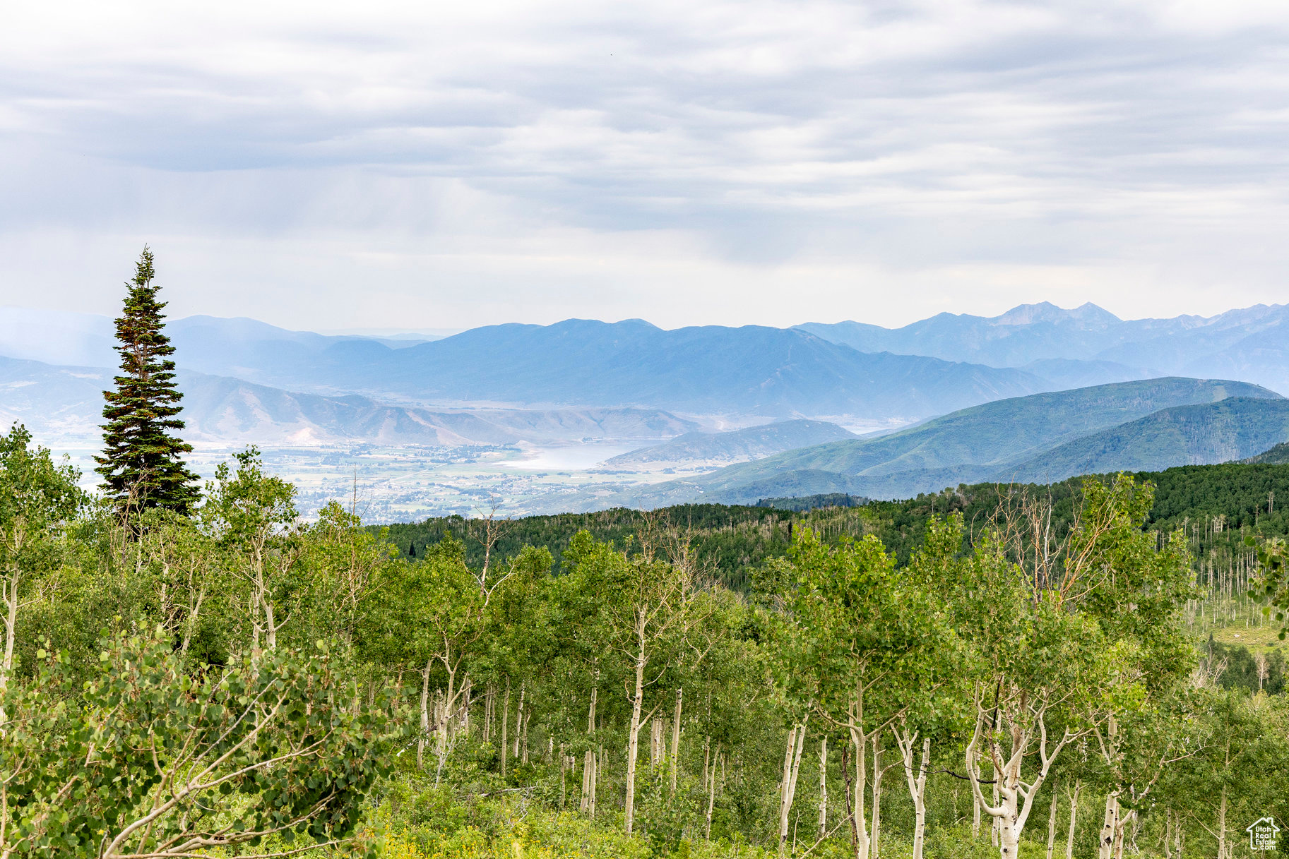 BRIGHTON ESTATES - Land