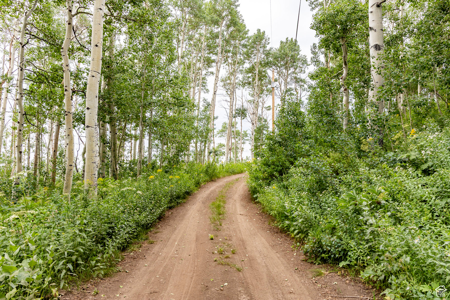 BRIGHTON ESTATES - Land