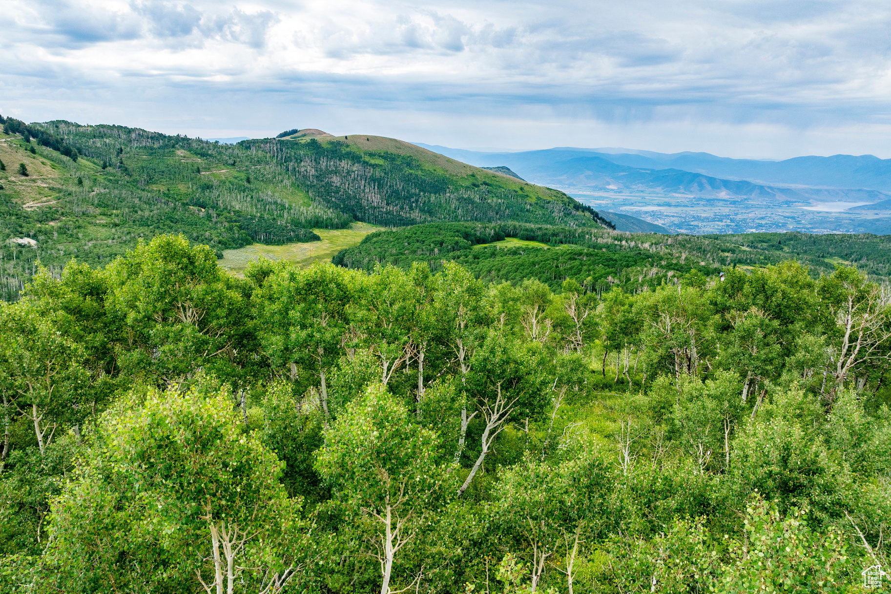 BRIGHTON ESTATES - Land