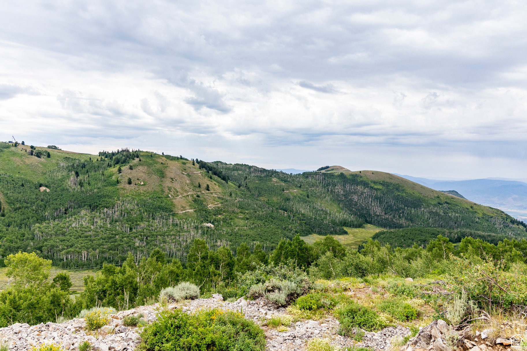 BRIGHTON ESTATES - Land