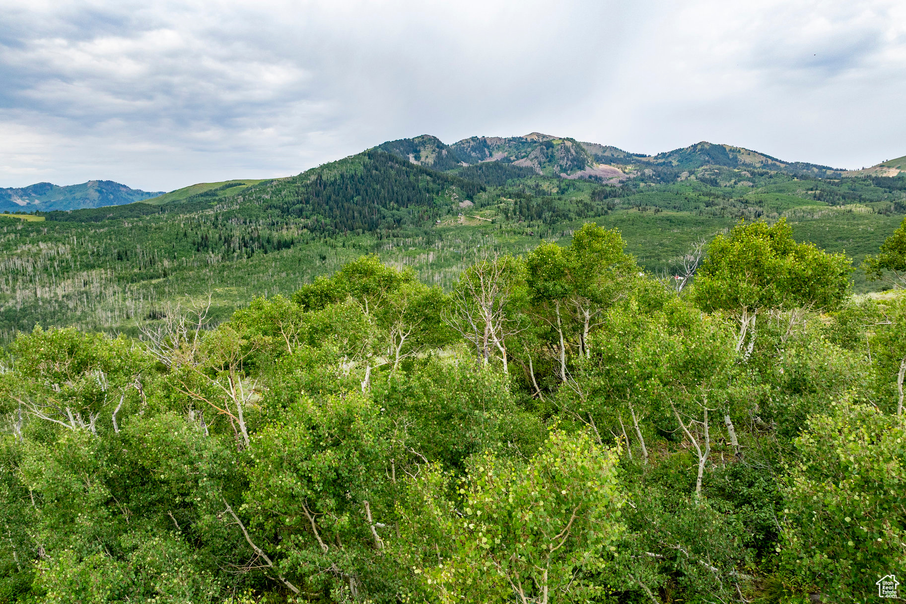 BRIGHTON ESTATES - Land