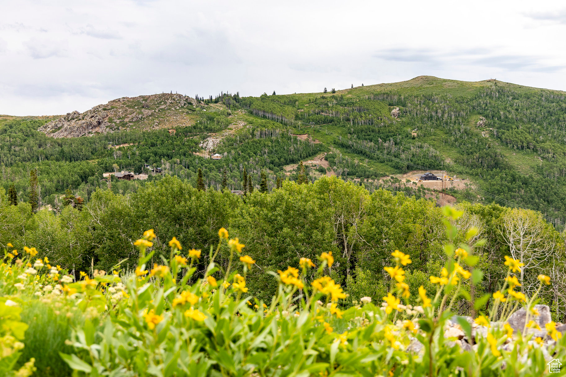 BRIGHTON ESTATES - Land