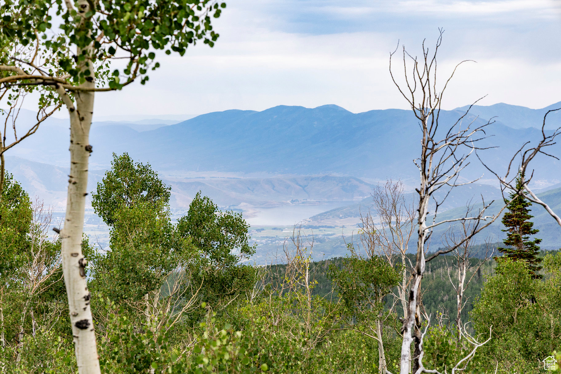 BRIGHTON ESTATES - Land