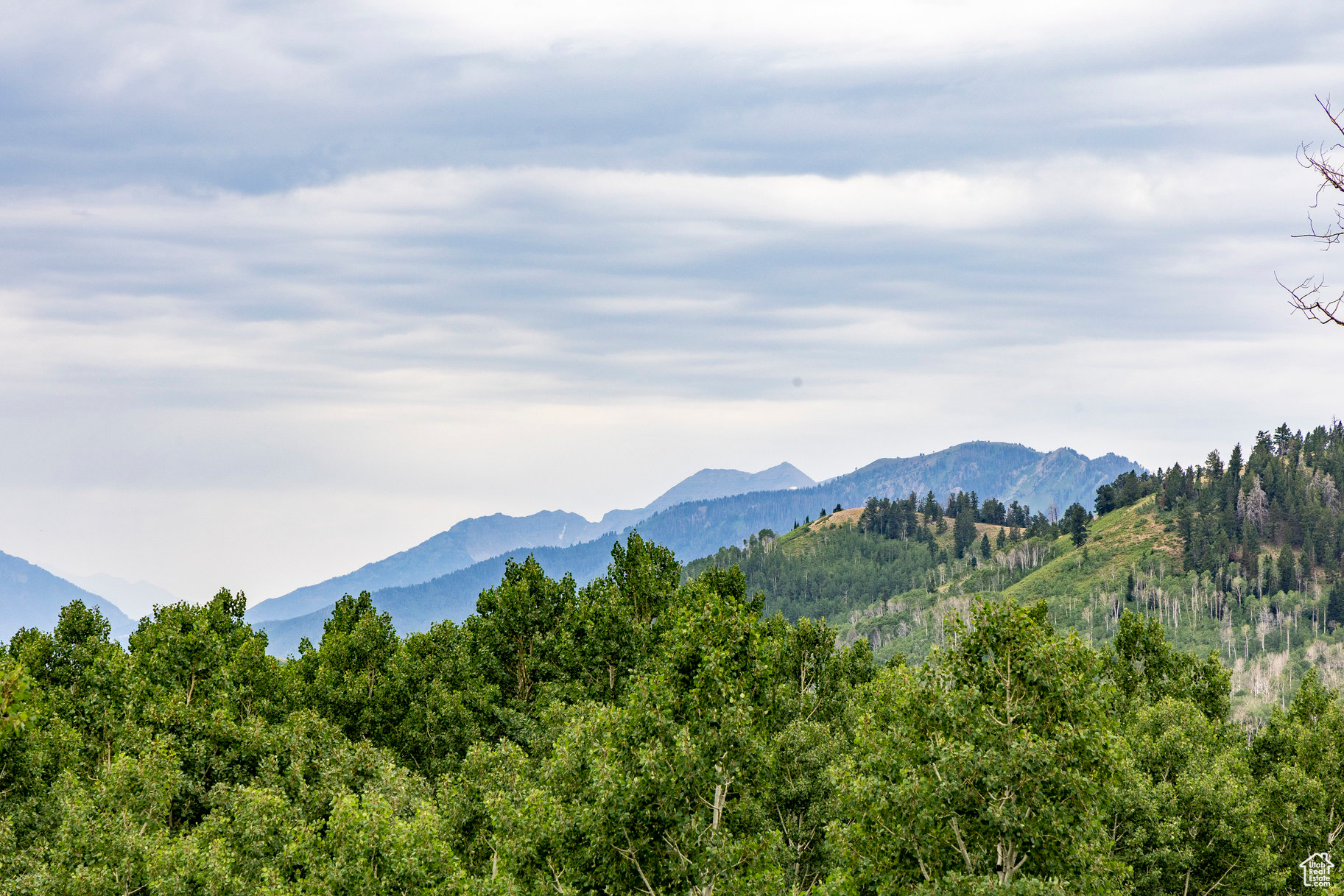 BRIGHTON ESTATES - Land