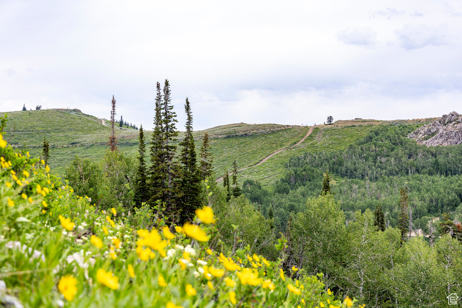 BRIGHTON ESTATES - Land