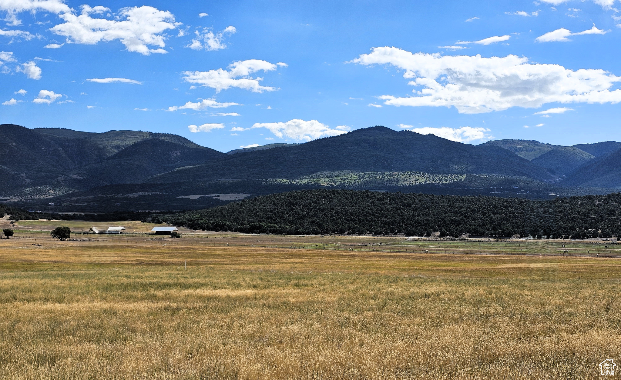 5 Juniper #5, Fairview, Utah image 7