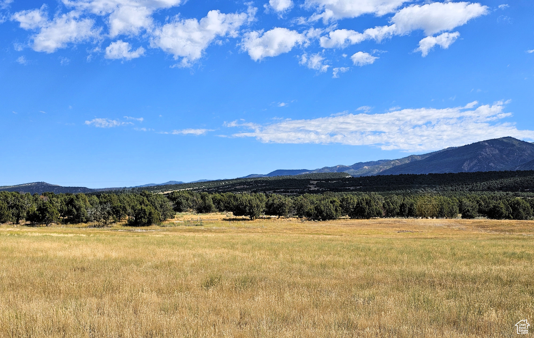 5 Juniper #5, Fairview, Utah image 6