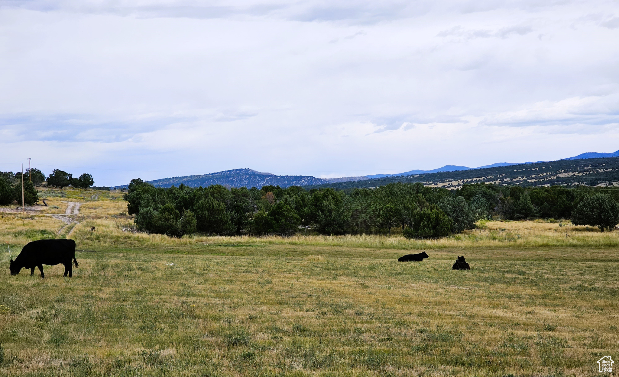 5 Juniper #5, Fairview, Utah image 5