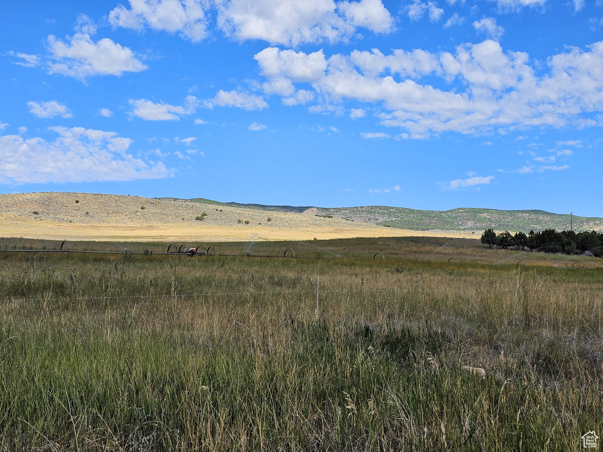 5 Juniper #5, Fairview, Utah image 10