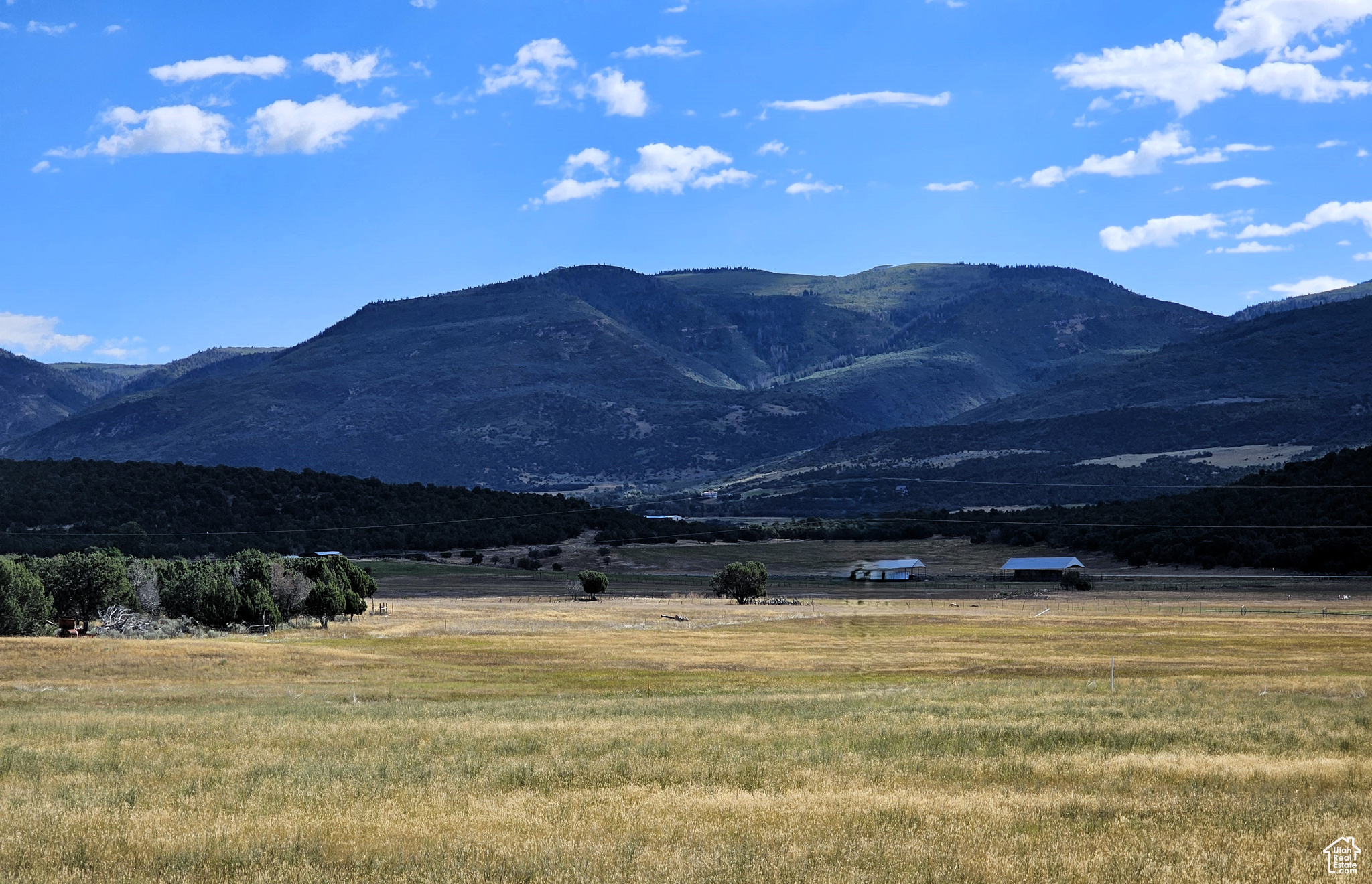 5 Juniper #5, Fairview, Utah image 4