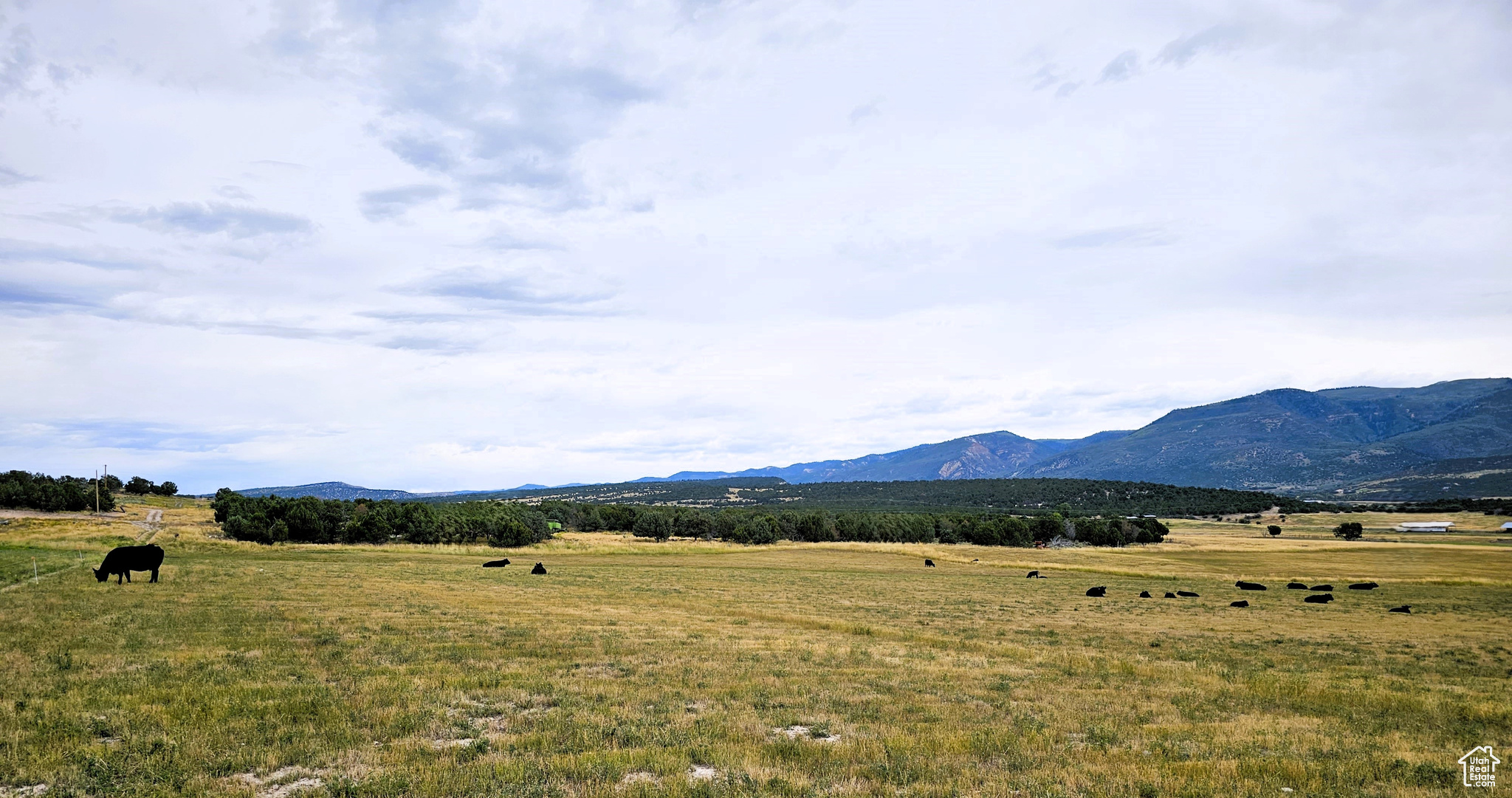 5 Juniper #5, Fairview, Utah image 2