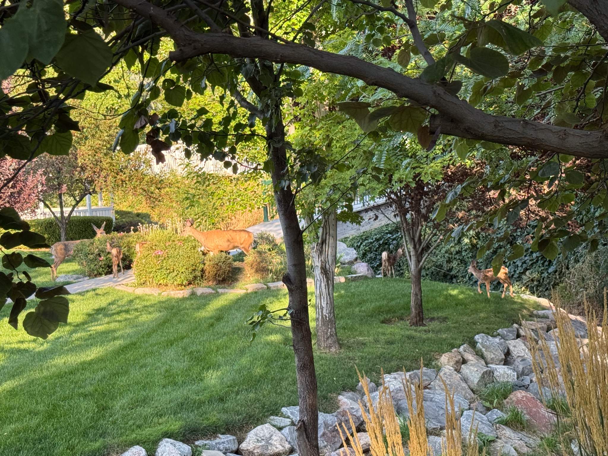 WILLOW BEND PH 3 - Residential