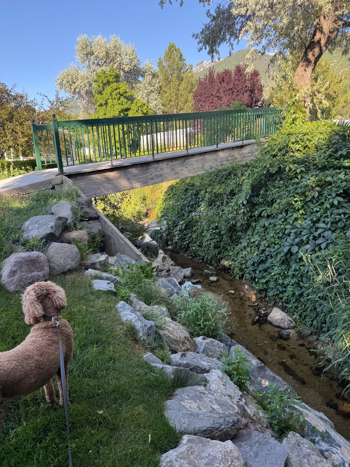 WILLOW BEND PH 3 - Residential