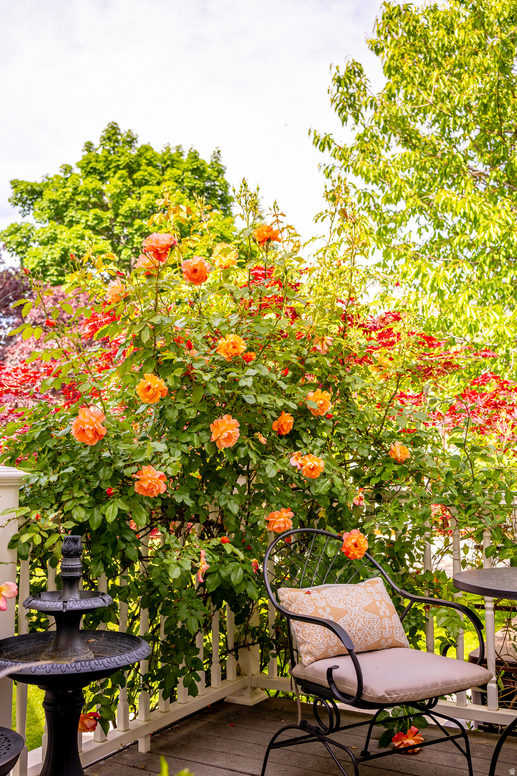 WILLOW CREEK HEIGHTS - Residential