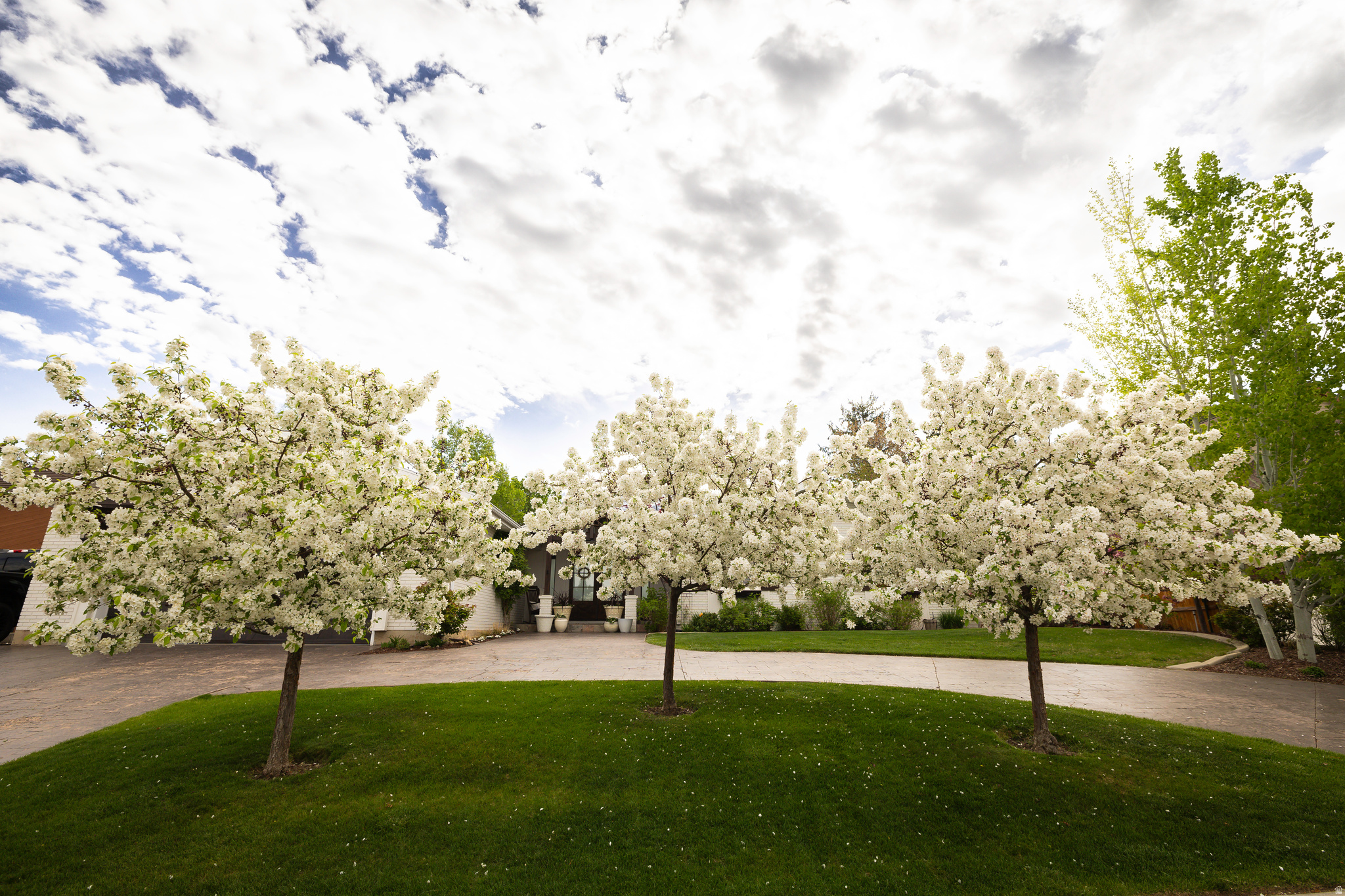 WILLOW CREEK HEIGHTS - Residential